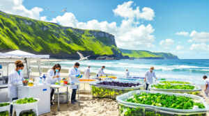 découvrez un projet innovant lancé dans la manche, misant sur les bienfaits des algues pour renforcer notre santé. un atout naturel et prometteur pour votre bien-être !